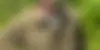 Frédéric